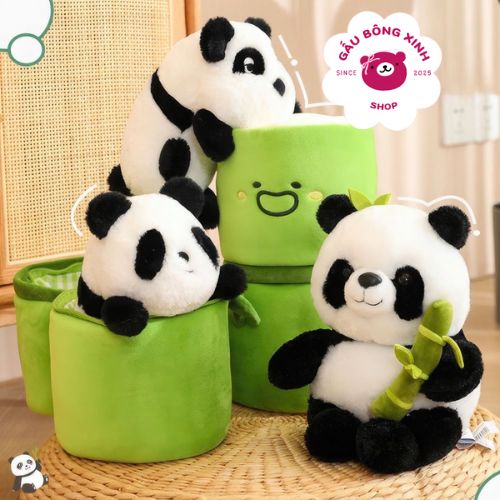 Gấu bông gấu trúc