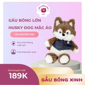 Gấu bông lớn Husky Dog mặc áo