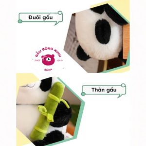 Gấu bông gấu trúc