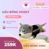 Gấu bông được bán chạy nhất