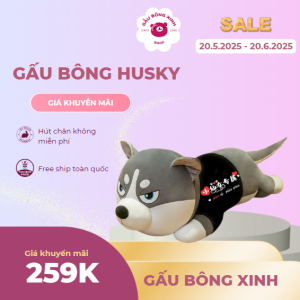 Gấu bông được bán chạy nhất