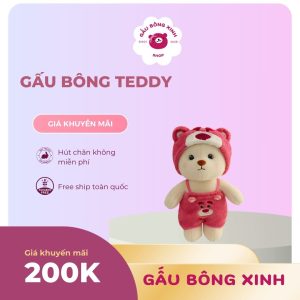 Gấu bông teddy