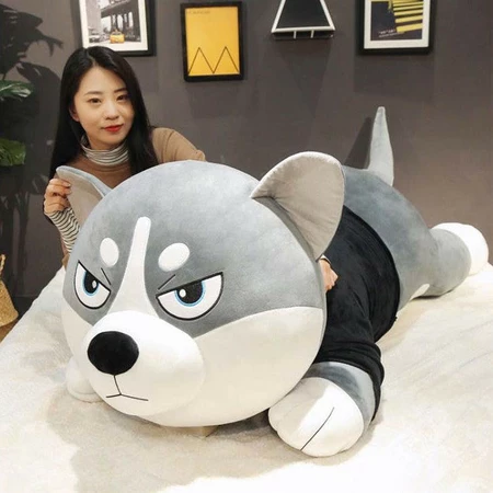 Gấu bông Husky